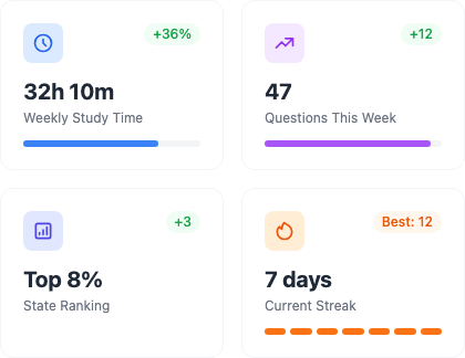 StudyPulse student statistics dashboard